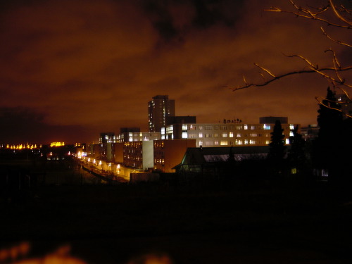 A Tottenham apartment block at night, lit windows arranged in a grid against a sodium-orange cloudy sky. Bare branches of a tree intrude from the right of the frame; the street below recedes into distance with a few small sodium lamp-points on the left.