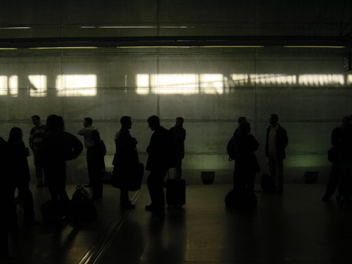 A long Stansted terminal corridor in silhouette: a queue of travellers with rolling suitcases and bags moving toward an exit, lit only by a bright window strip running along the wall behind them.