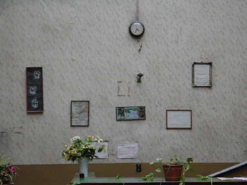 A wall in a small Buenos Aires interior: old ivory wallpaper, a small mantelpiece clock, four framed pictures hung at slightly off-kilter heights, a vase of pale flowers and potted plants on a small table below.